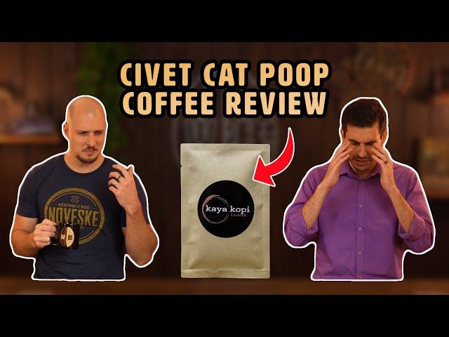 Kopi Luwak Review | Civet Cat Poop Coffee