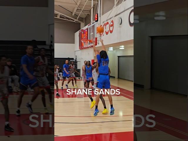 Shane Sands showing his range and defensive toughness