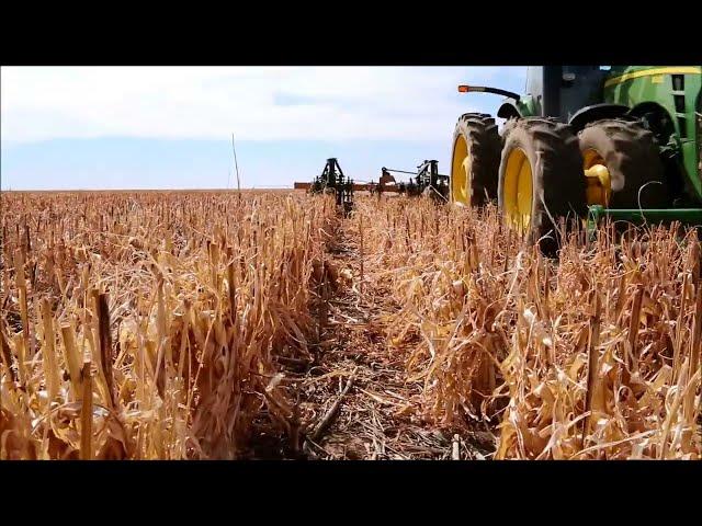 Wako LLC Big Country Wagon RZM Strip Till  machine