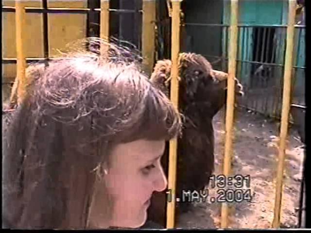Анатолий Климович