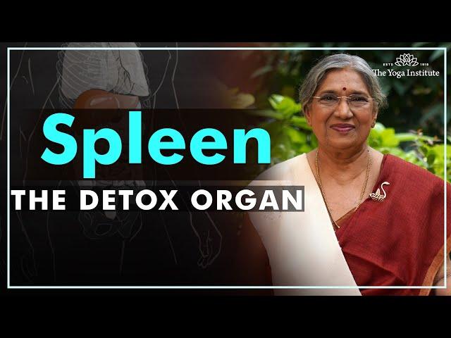 Know how to take care of your spleen | Dr. Hansaji Yogendra