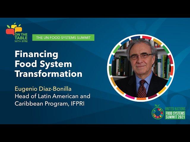 IFPRI’s On the Table Interview Series | Financing Food System Transformation