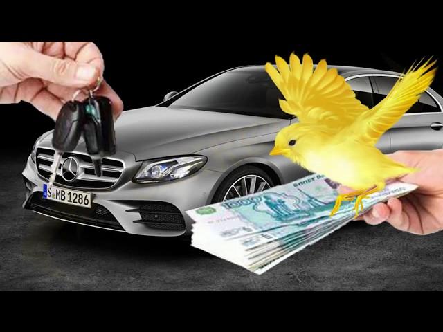 Руны и рунические формулы для продажи имущества