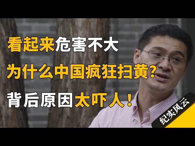 看起来危害不大，为什么中国疯狂“扫黄”？背后原因太吓人！#纪实风云 #纪录片 #罗翔