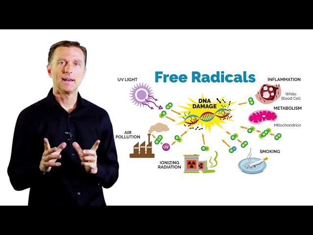 What Is Oxidation – Dr.Berg on Free Radicals and Antioxidants