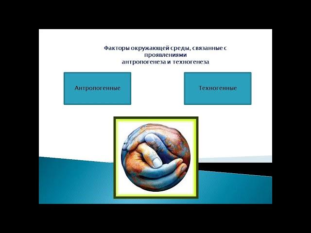 Лекция Система безопасности