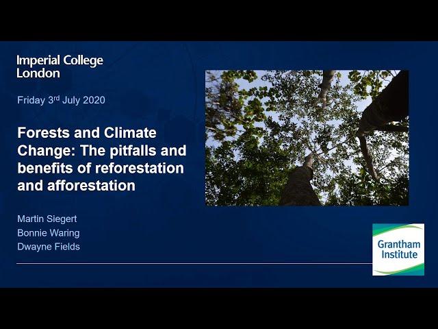 Forests and climate change: The pitfalls and benefits of reforestation