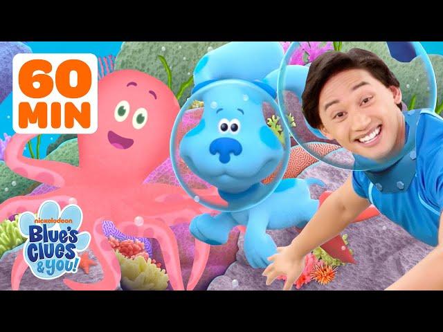 60 Minutes of Animal Friendship Adventures w/ Blue, Josh!  | Vlog Compilation | Blue's Clues & You!