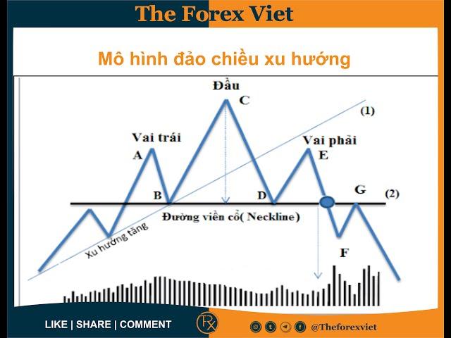 Mô Hình Vai Đầu Vai -  Bạn đã hiểu đúng ?