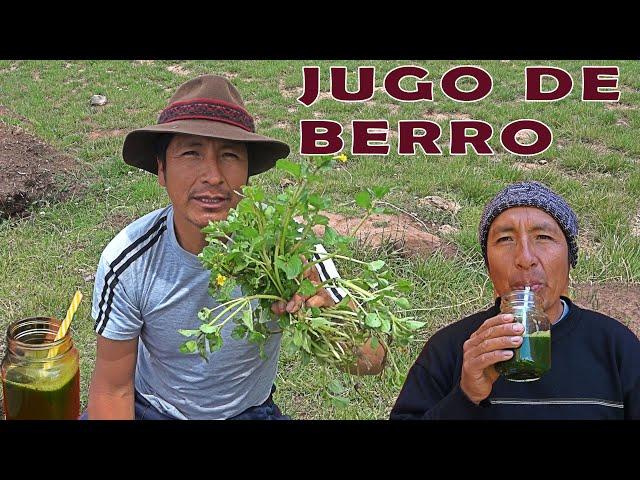 PREPARANDO JUGO DE BERRO BENEFICIOS Y PROPIEDADES | POR QUE DEBO CONSUMIR BERRO | PLANTA MILAGROSA