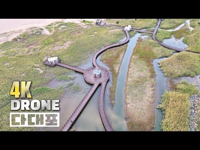 4K DRONE UHD 무조건 봐야 하는 환상의 드론샷 부산 다대포 꿈의 낙조분수 다대포 해수욕장 DADAEPO BEACH BUSAN KOREA DJI MINI 3 PRO