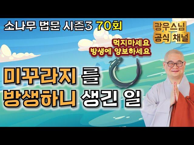 방생 가피 이야기 | 광우스님 소나무 법문시즌3 70회