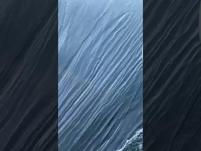 Ripples of Serenity: Exploring the Marvelous Water Surface