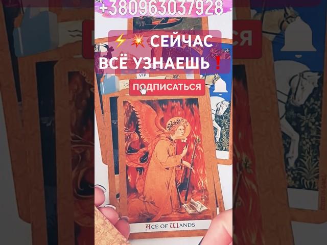 ️ НА РАСПУТЬЕ % ВОТ КАКОЙ ДОРОГОЙ ТЫ ДАЛЬШЕ ПОЙДЕШЬ #shorts #гадание #таро #предсказание