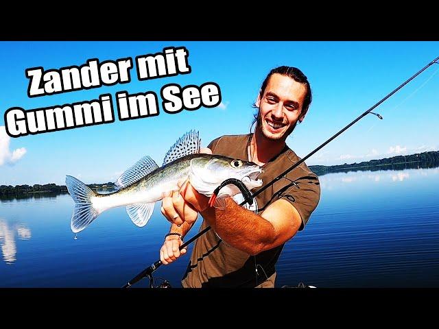 Biss auf Biss! Erfolgreich auf Zander mit Gummifisch im See