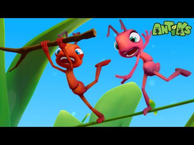 High Wire Act |  Antiks & Insectibles  | Funny Cartoons for Kids | Moonbug