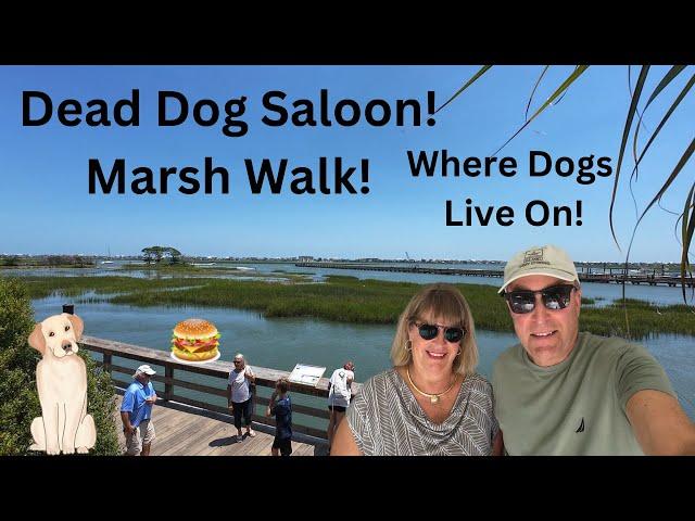 A MARSH WALK GEM! Dead Dog Saloon! Where Dead Dogs Are Celebrated! (Murrells Inlet, SC)