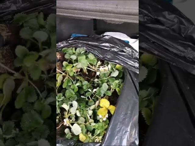 доставка до Самары