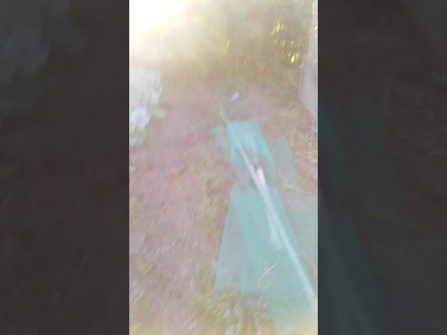 Грядки из того что есть