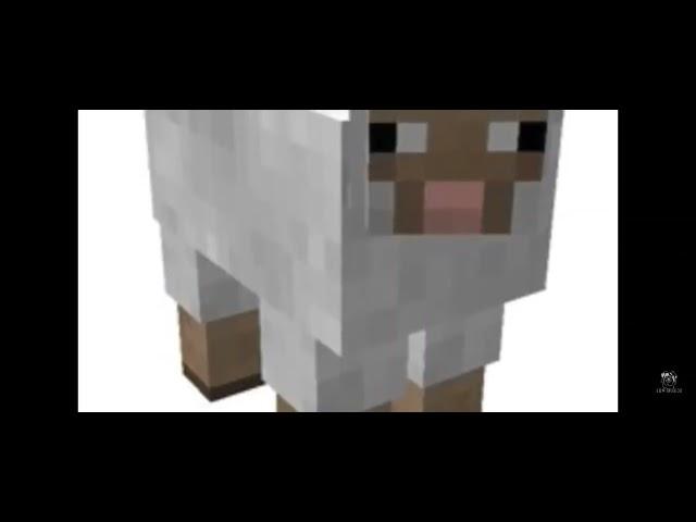 Loud Minecraft Sheep Sound Effect (turn on full volume)