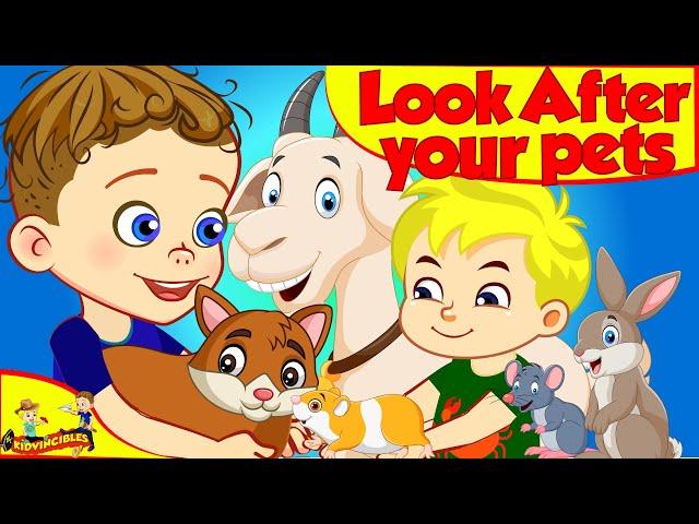 Look After Your Pets | Videos for Kids