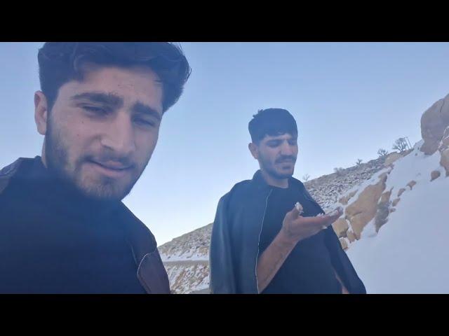 "A Choice at a Crossroads: Hamed and Saman's Invitation"