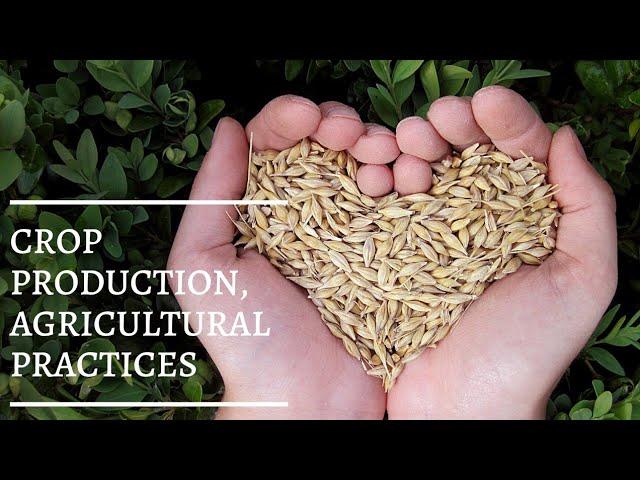 Crop production : agricultural practices