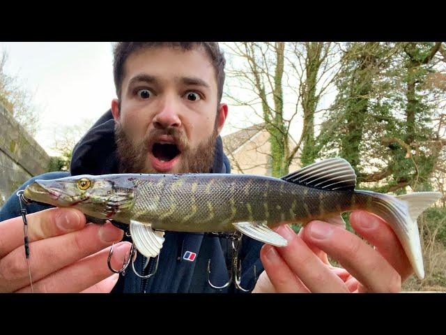 PIKE EAT PIKE?! Lure Fishing with an ULTRA-REALISTIC pike lure