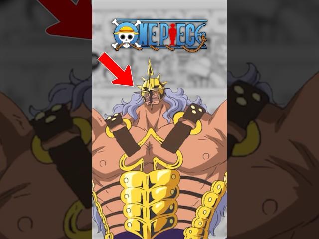 Biggest Troll in One Piece 