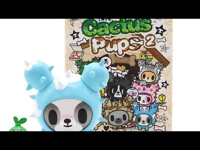 Unboxing Tokidoki Cactus Pups 2