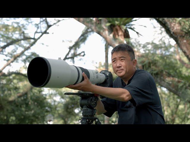 Canon EOS R3 for Wildlife Photography