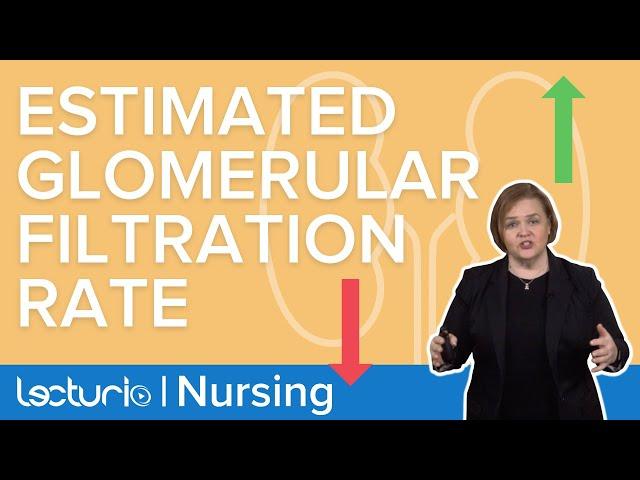 How Estimated Glomerular Filtration Rate (eGFR) Relates to Kidney Function | Lecturio Nursing