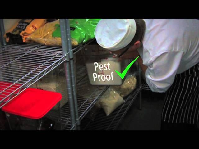 Food safety coaching (Part 3): Pest control