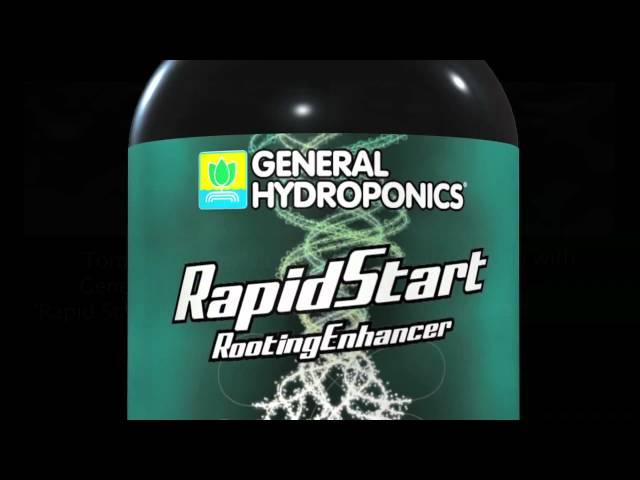 Green Growers Inc, Colorado - General Hydroponics Rapid Start Rooting Enhancer