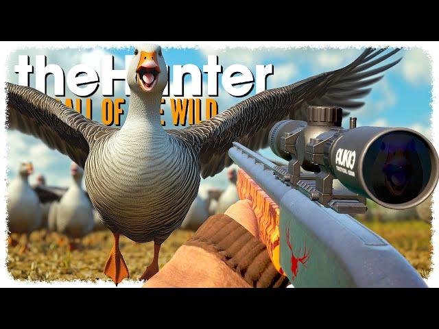 Hunting 30 ANIMALS on the NEW MAP (ᵗʰᵉ ᵍᵉᵉˢᵉ ᵐᵘˢᵗ ᵈᶦᵉ) | theHunter: Call of the Wild