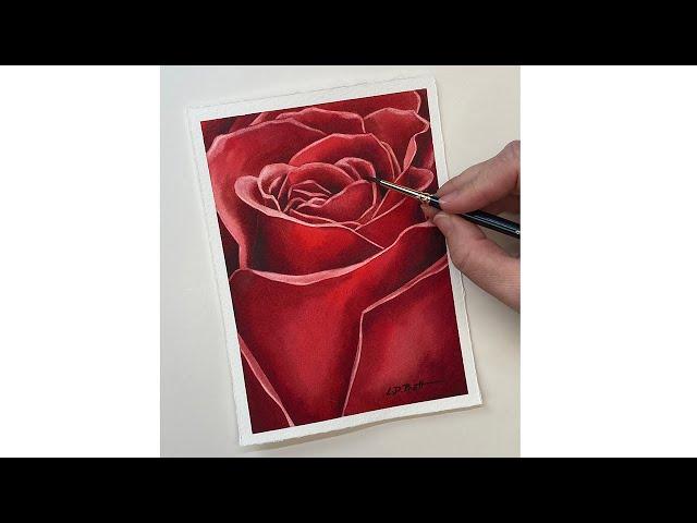 How to Paint a Rose with Watercolor Tutorial