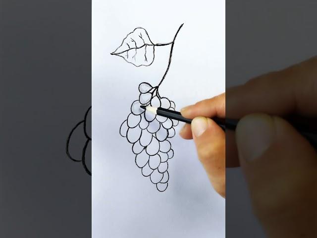 How to Draw Grapes with Pencil