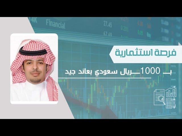 التمويل بالدين منصة منافع فرصة استثمارية بعائد جيد