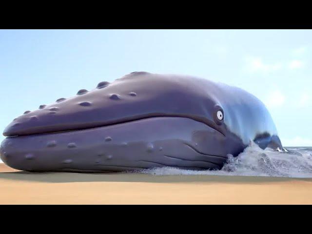 The Day The Whale Lost His Way!| Gruffalo World: Snail & The Whale