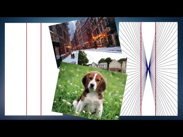 10 САМЫХ КРУТЫХ ОПТИЧЕСКИХ ИЛЛЮЗИЙ Alexey Kozyakov
