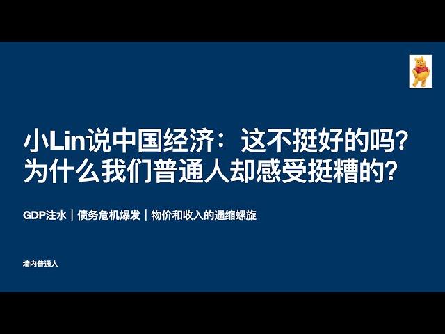 小Lin说2024年中国经济：这不挺好的吗？为什么我们普通人却感受挺糟的？｜GDP注水｜债务危机爆发｜物价和收入的通缩螺旋