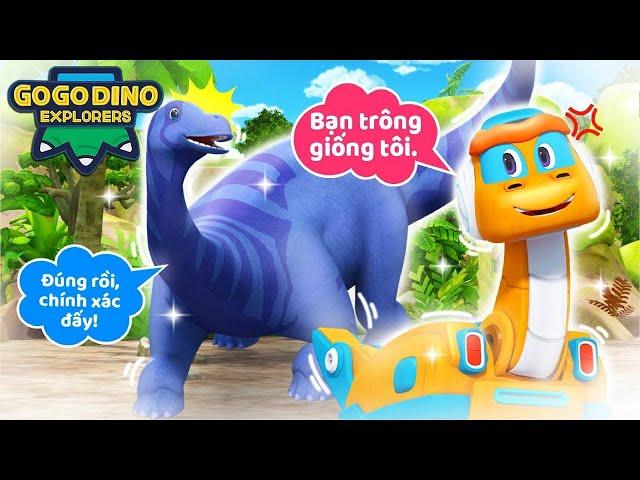 Pockey, Apatosaurus Mạnh Nhất!【GOGODINO KHÁM PHÁ】| Tuyển tập | Khủng long