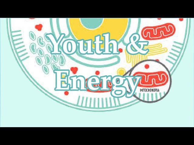  Mitochondria Rejuvenation ~ Juvenile Energy | Healthy Stem Cells V2.1 ~ Classical Music
