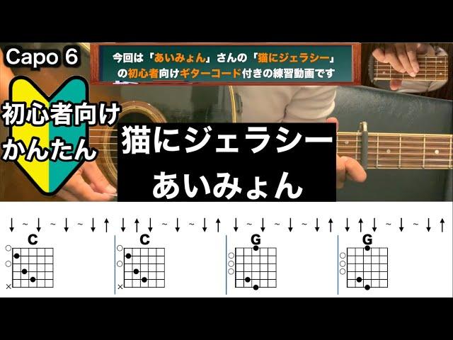 猫にジェラシー/あいみょん/ギター/コード/弾き語り/初心者向け/簡単