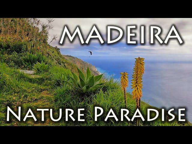 MADEIRA Nature Paradise, Paragliding, Gleitschirmfliegen 03.2023, Arco de Calheta