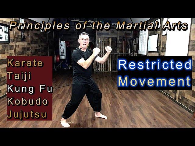 "Restricted Movement" Principles of the Martial Arts #4 Michael Calandra