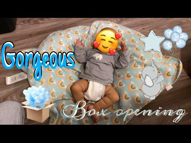 SOLE Reborn Baby Doll Box Opening 2022! | Mya Reborns