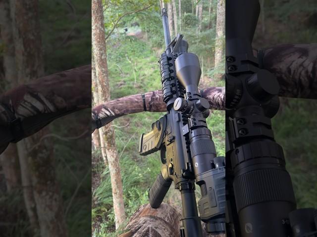 Espera de javali com fuzil AR15 