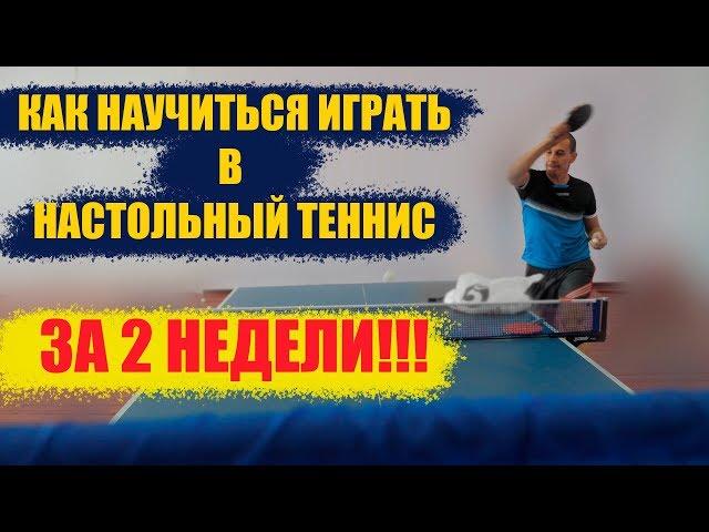 КАК НАУЧИТЬСЯ ИГРАТЬ В НАСТОЛЬНЫЙ ТЕННИС ЗА 2 НЕДЕЛИ. НАСТОЛЬНЫЙ ТЕННИС ДЛЯ НАЧИНАЮЩИХ.