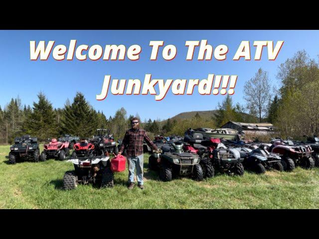 Welcome To My ATV JUNK YARD! Lots of Wheelers...